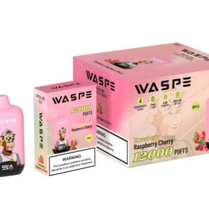 Цифровая коробка WASPE 12000 PUFFS 0% 2% 3% 5% Никотиновый одноразовый вейп оптом - FishVape - 12