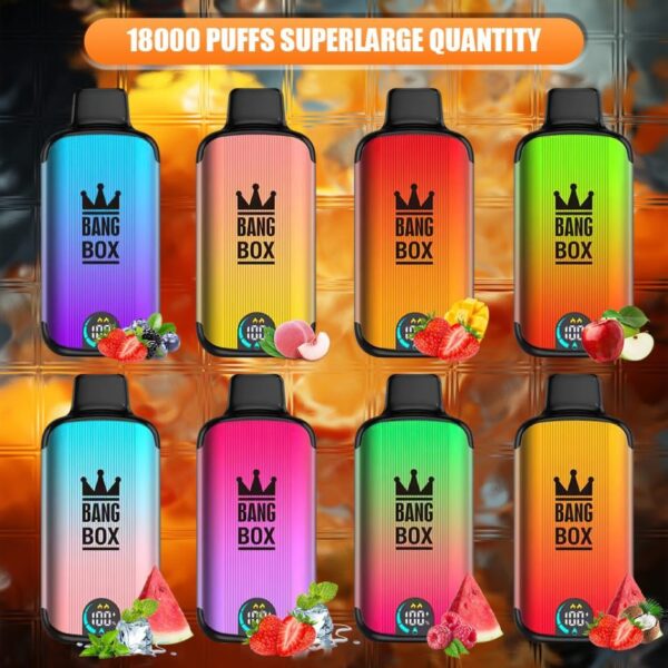 Bang Box 18000 Puffs LED-Anzeigebildschirm 0% 2% 3% 5% Nikotinarm, Großpackung, wiederaufladbarer Einweg-Vape-Stift im Großhandel kaufen – FishVape – 1