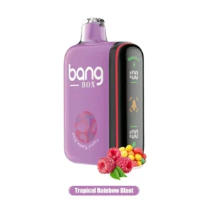 Bang Box Vape Rocket 18000 Puffs LED Display Screen 0% 2% 3% 5% Low Nicotine Disposable Vapes Bulk Buy Wholesale - FishVape - 16