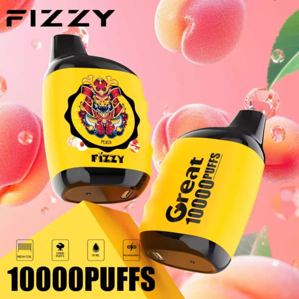 Fizzy Great 10000 Puffs 2% 5% Low Nicotine Rechargeable Disposable Vapes Pen Bulk Buy Wholesale - FishVape - 6